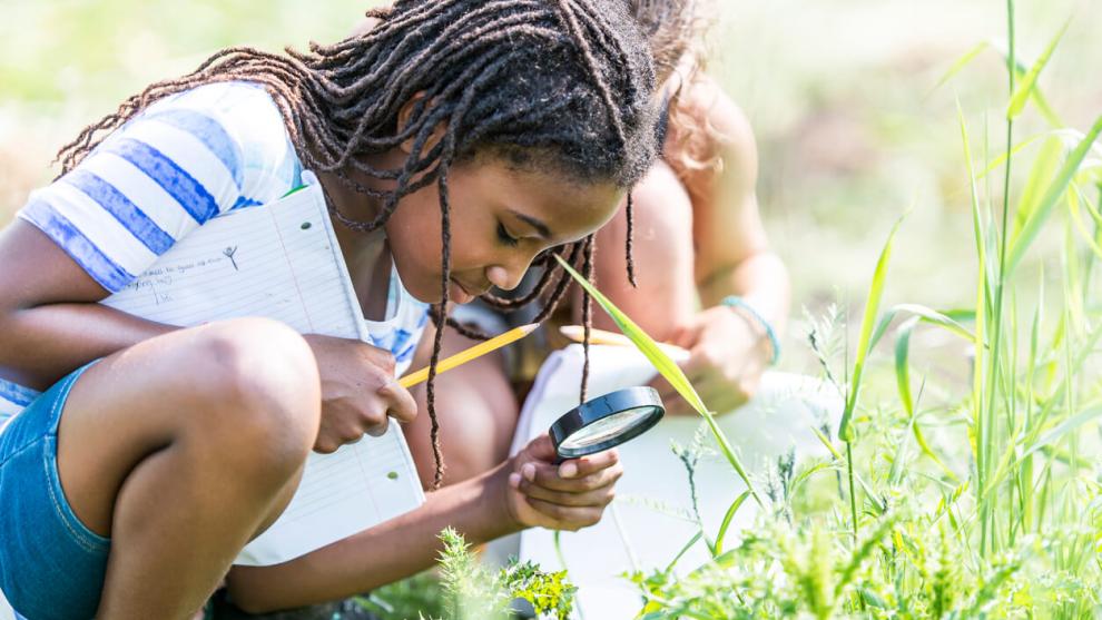 Outdoor learning