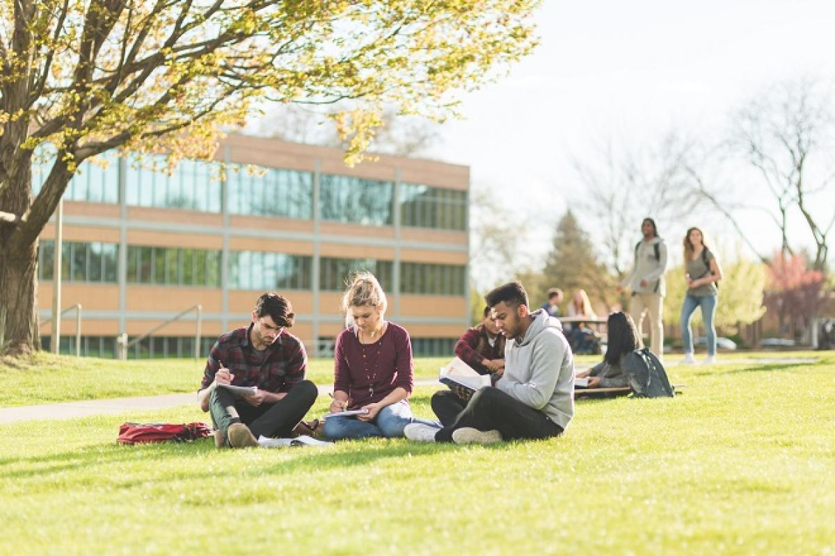 Students reading in the park